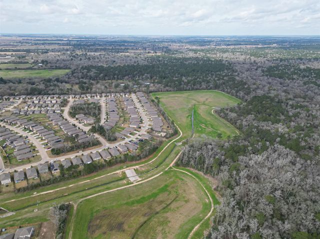 22110 Hanna Hills Drive, Hockley, TX 77447