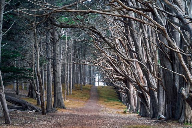 855 San Ramon Avenue, Moss Beach, CA 94038