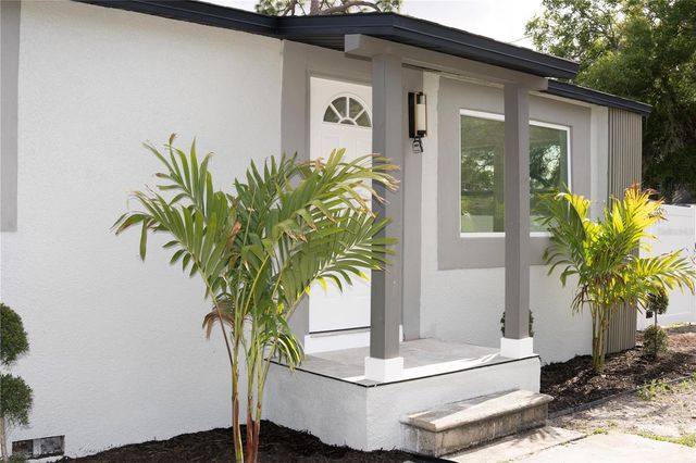 1711 E SEWAHA STREET, Tampa, FL 33612