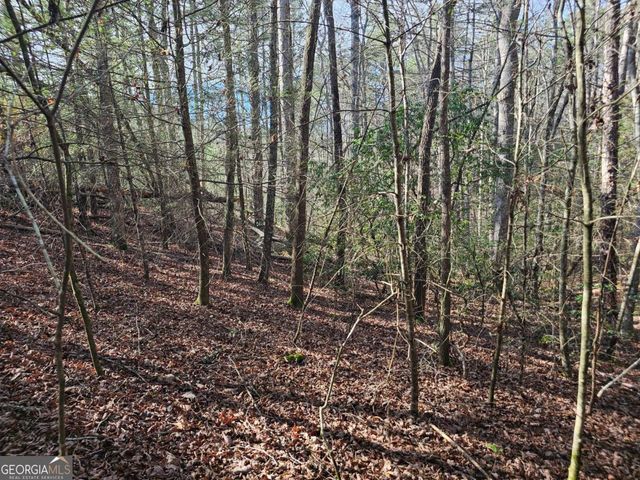 LOT 77 Roaring Forks Lane 77, Ellijay, GA 30540