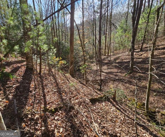 LOT 77 Roaring Forks Lane 77, Ellijay, GA 30540