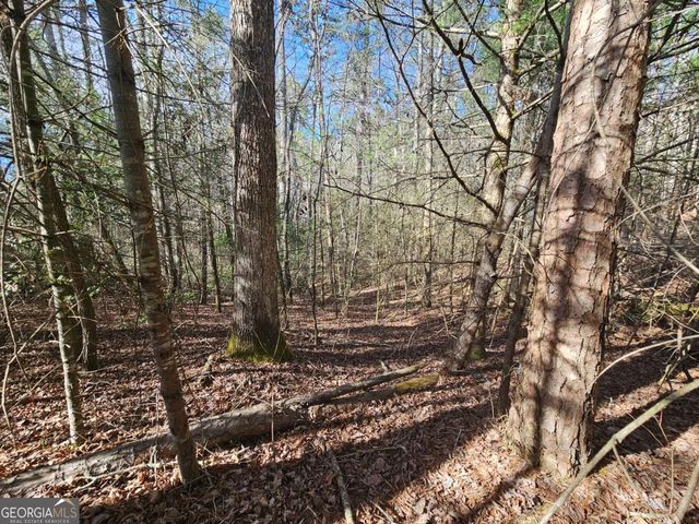 LOT 77 Roaring Forks Lane 77, Ellijay, GA 30540