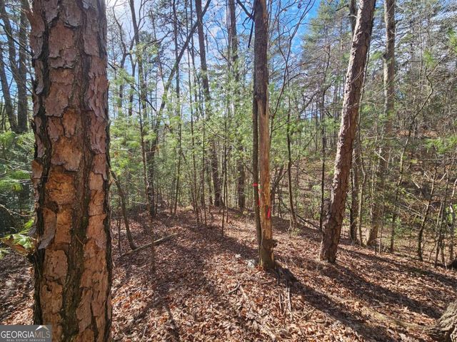 LOT 77 Roaring Forks Lane 77, Ellijay, GA 30540