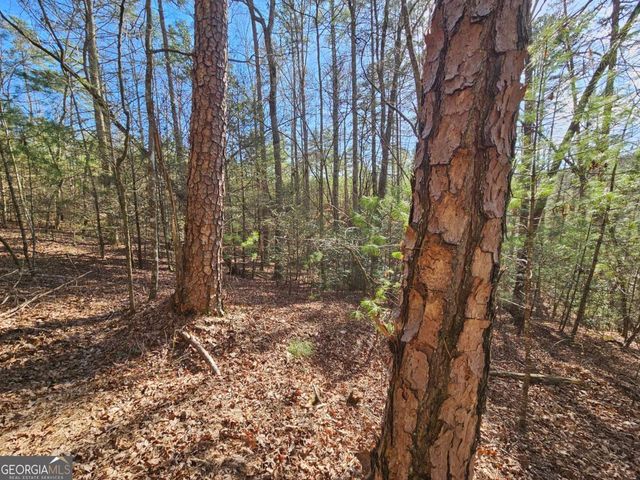 LOT 77 Roaring Forks Lane 77, Ellijay, GA 30540