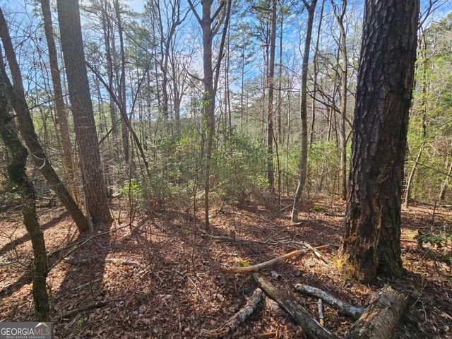 LOT 77 Roaring Forks Lane 77, Ellijay, GA 30540