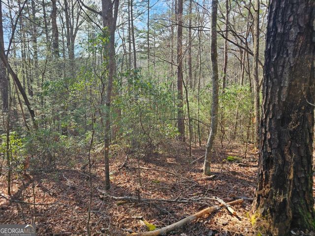 LOT 77 Roaring Forks Lane 77, Ellijay, GA 30540
