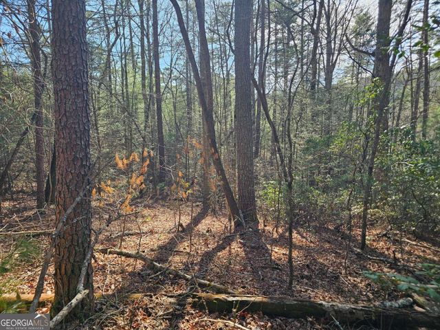 LOT 77 Roaring Forks Lane 77, Ellijay, GA 30540
