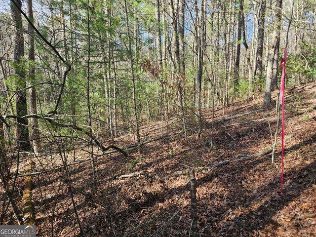 LOT 77 Roaring Forks Lane 77, Ellijay, GA 30540