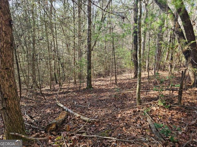 LOT 77 Roaring Forks Lane 77, Ellijay, GA 30540