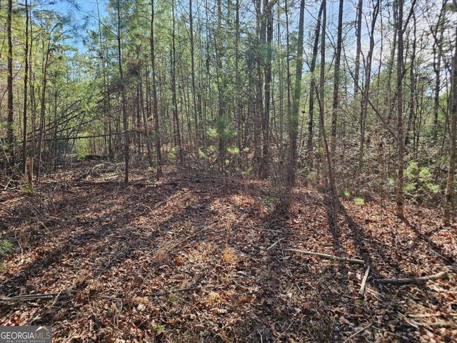 LOT 77 Roaring Forks Lane 77, Ellijay, GA 30540