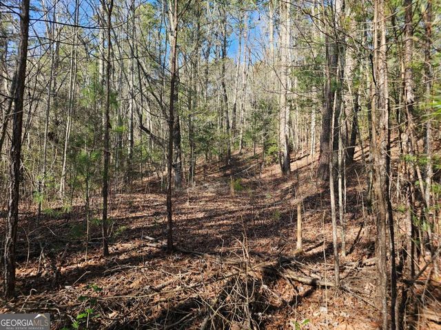 LOT 77 Roaring Forks Lane 77, Ellijay, GA 30540