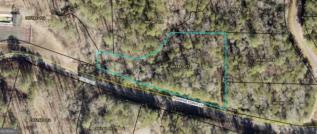 LOT 77 Roaring Forks Lane 77, Ellijay, GA 30540