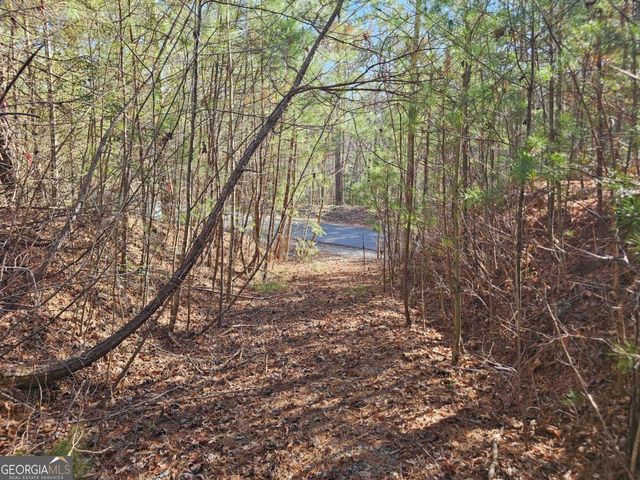LOT 77 Roaring Forks Lane 77, Ellijay, GA 30540