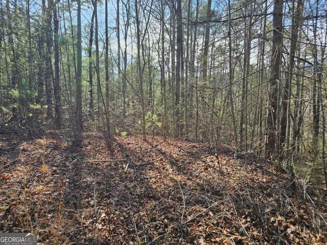 LOT 77 Roaring Forks Lane 77, Ellijay, GA 30540