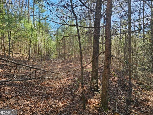LOT 77 Roaring Forks Lane 77, Ellijay, GA 30540