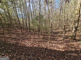 LOT 77 Roaring Forks Lane 77, Ellijay, GA 30540