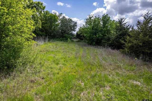5228 CR 599, Farmersville, TX 75442