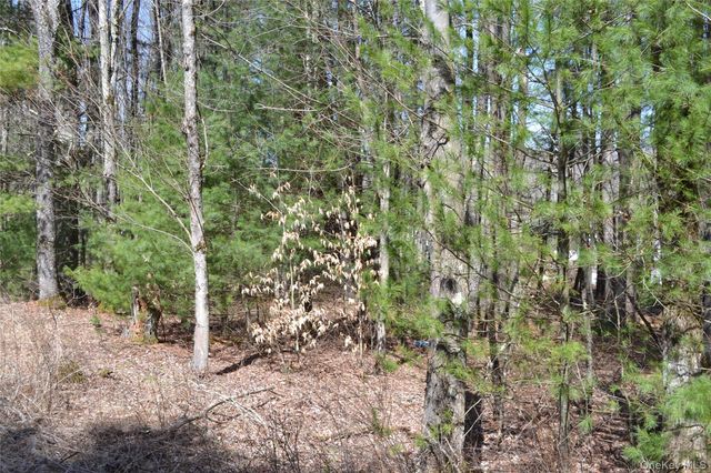0 Garden House Road, Liberty, NY 12747
