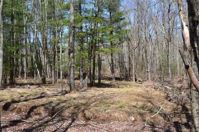 0 Garden House Road, Liberty, NY 12747