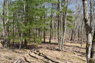 0 Garden House Road, Liberty, NY 12747
