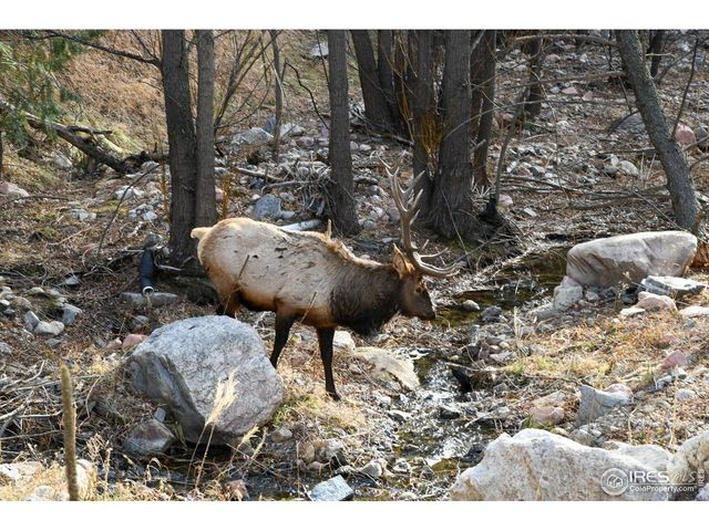 416 Black Creek Dr, Glen Haven, CO 80532