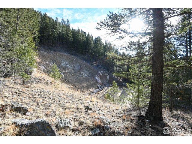 416 Black Creek Dr, Glen Haven, CO 80532