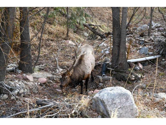 416 Black Creek Dr, Glen Haven, CO 80532