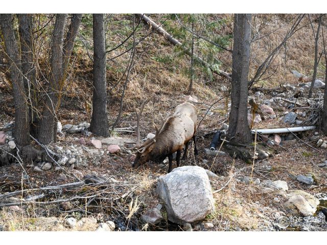 416 Black Creek Dr, Glen Haven, CO 80532