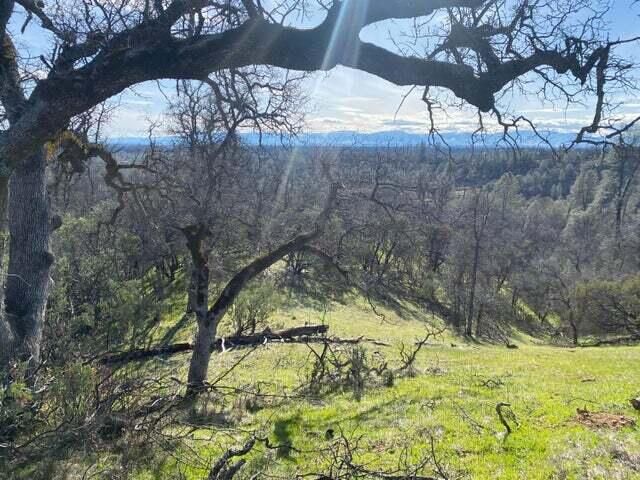 Santa Ynez Drive, Anderson, CA 96007