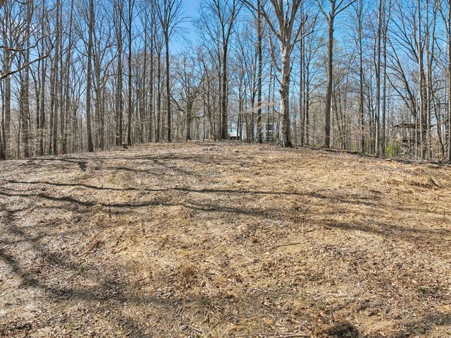 3819 Bear Creek Rd, Thompsons Station, TN 37179