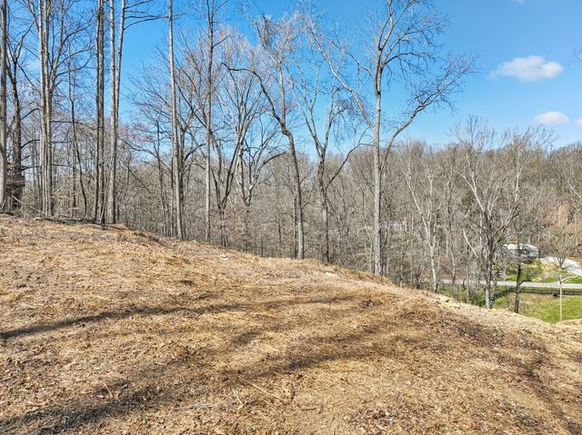 3819 Bear Creek Rd, Thompsons Station, TN 37179