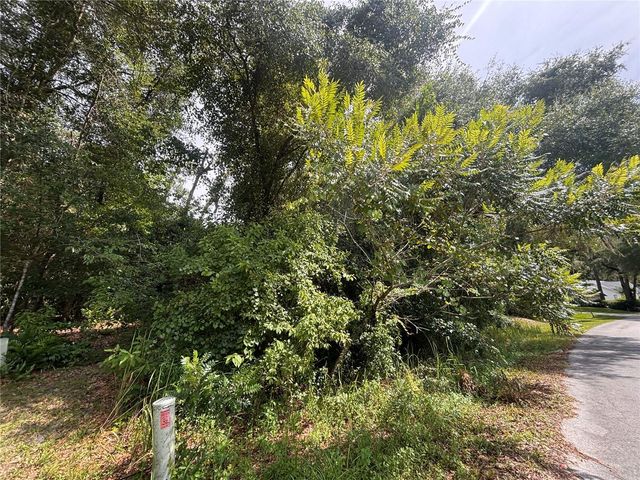 SW 98TH LOOP, Dunnellon, FL 34432