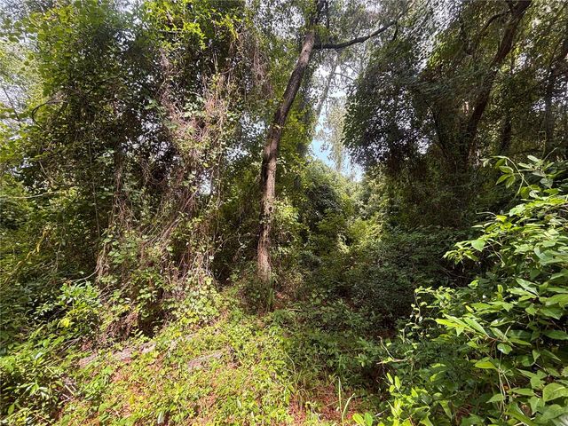 SW 98TH LOOP, Dunnellon, FL 34432