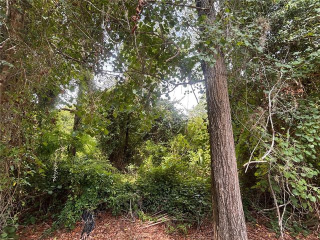 SW 98TH LOOP, Dunnellon, FL 34432
