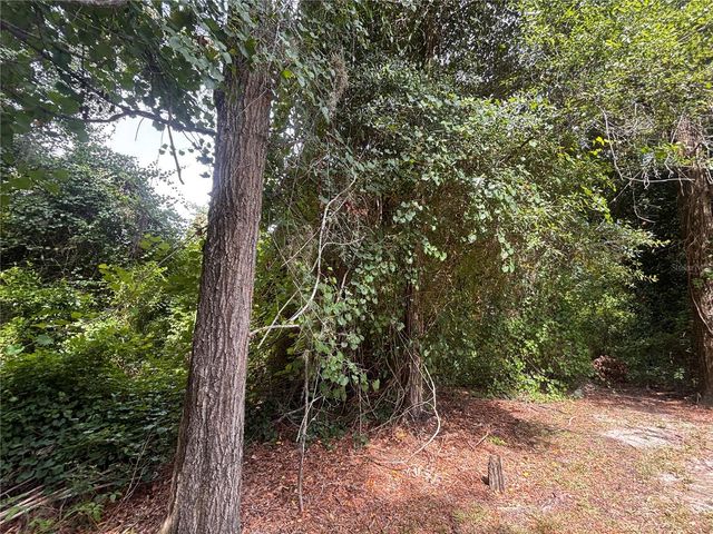 SW 98TH LOOP, Dunnellon, FL 34432