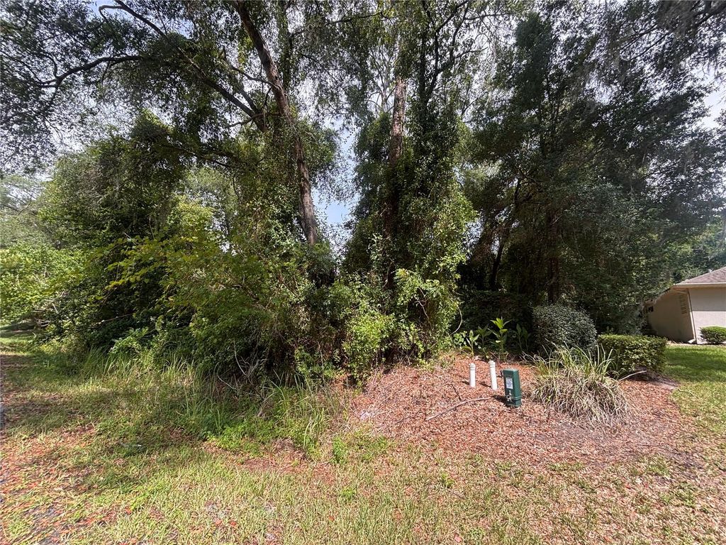SW 98TH LOOP, Dunnellon, FL 34432