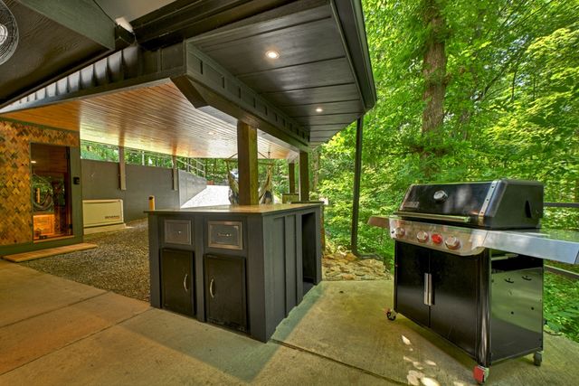 115 Pine Cone Road, Blue Ridge, GA 30513