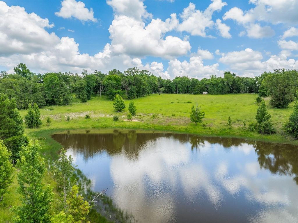 17752 County Road 224, Oakwood, TX 75855