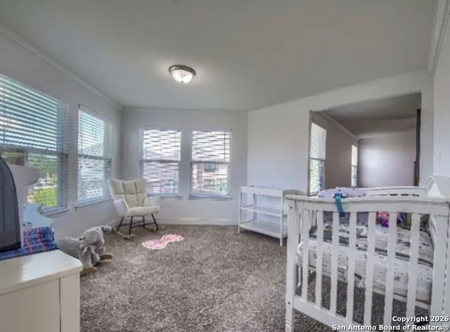 7566 Copper CV, Converse, TX 78109