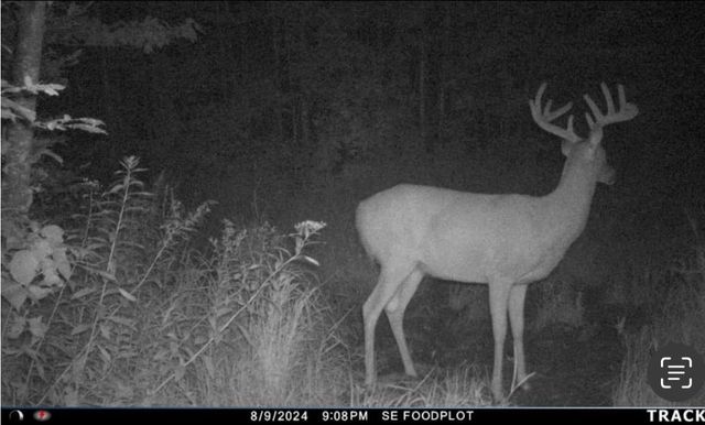 PETERSON ROAD, Gleason, WI 54435