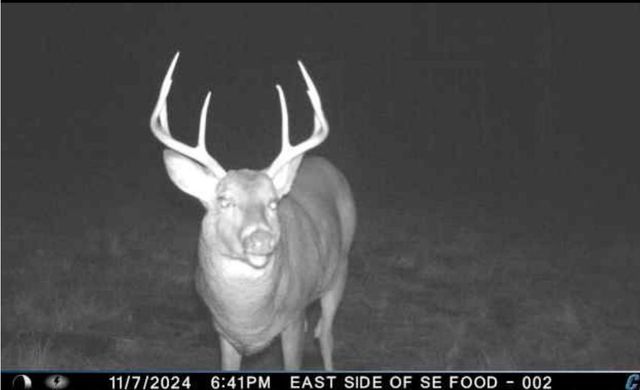 PETERSON ROAD, Gleason, WI 54435