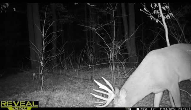 PETERSON ROAD, Gleason, WI 54435