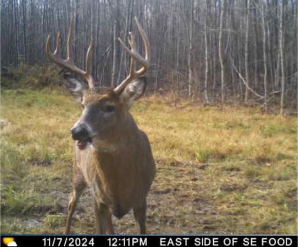 PETERSON ROAD, Gleason, WI 54435