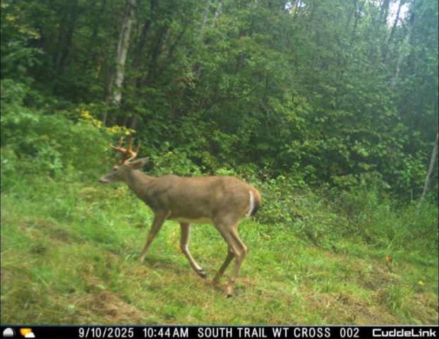 PETERSON ROAD, Gleason, WI 54435