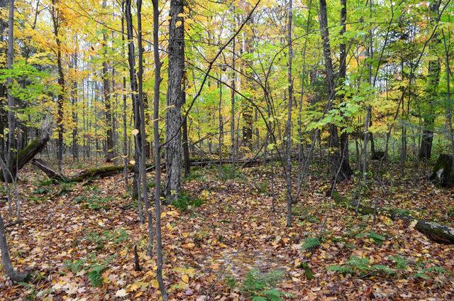 PETERSON ROAD, Gleason, WI 54435