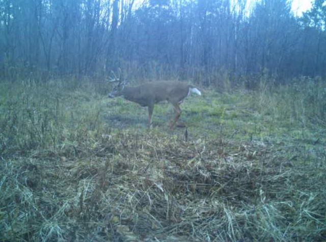 PETERSON ROAD, Gleason, WI 54435