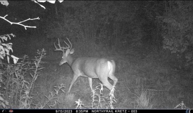 PETERSON ROAD, Gleason, WI 54435