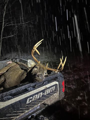 PETERSON ROAD, Gleason, WI 54435