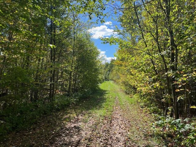 PETERSON ROAD, Gleason, WI 54435