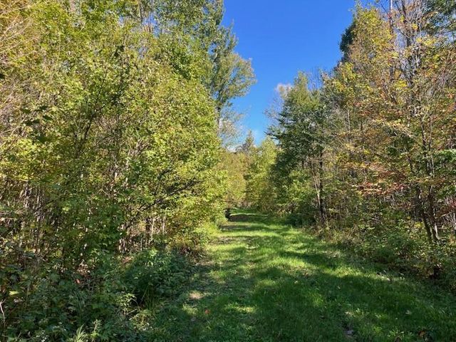 PETERSON ROAD, Gleason, WI 54435